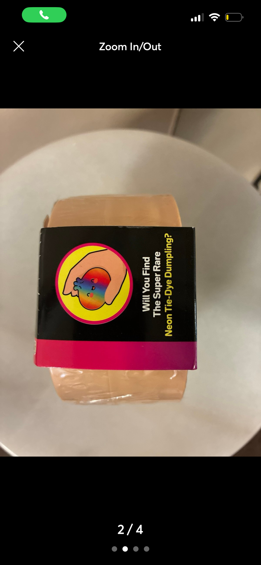 Mystery Dumpling Neon Tie Dye Edition