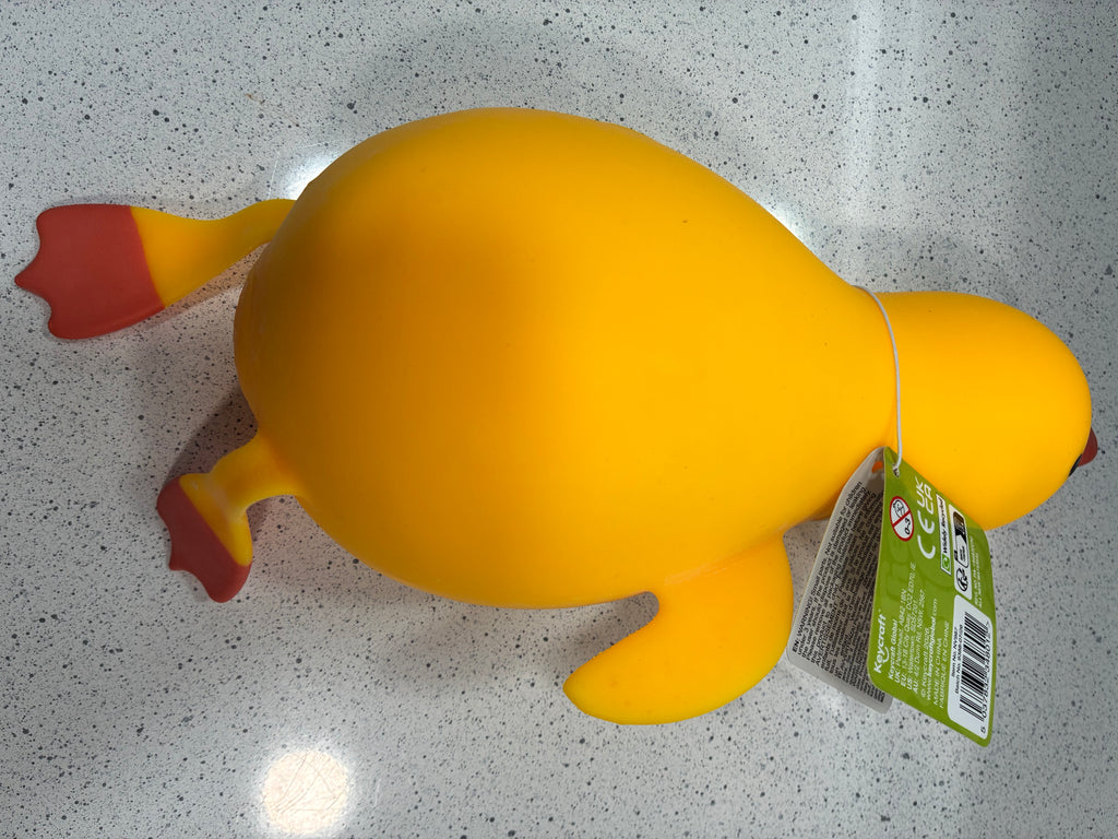 The Big Squij Duck