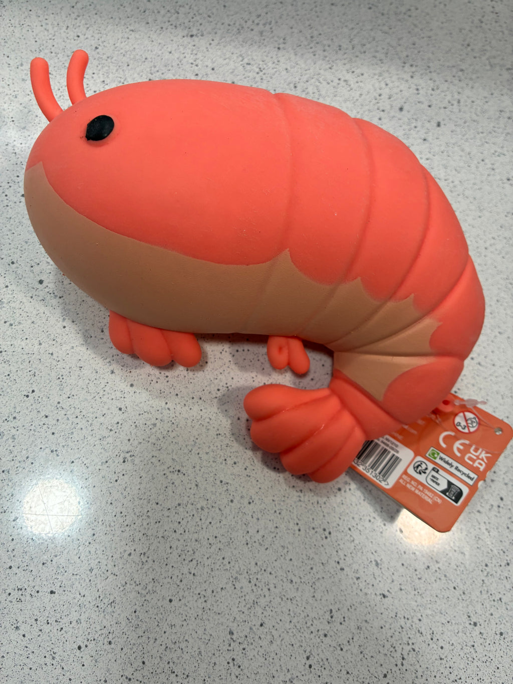 The Big Squij Shrimp