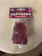 Needoh X Capybara set of 3